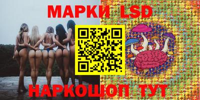 соль ск Новозыбков