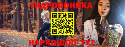 эйфоретик Новокубанск