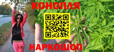 сатива Нарткала