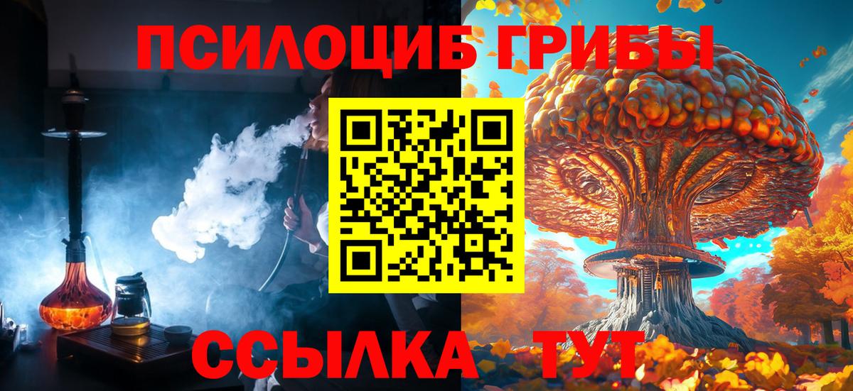 Чебоксары  Псилоцибиновые грибы ЛСД  Вход с VPN 