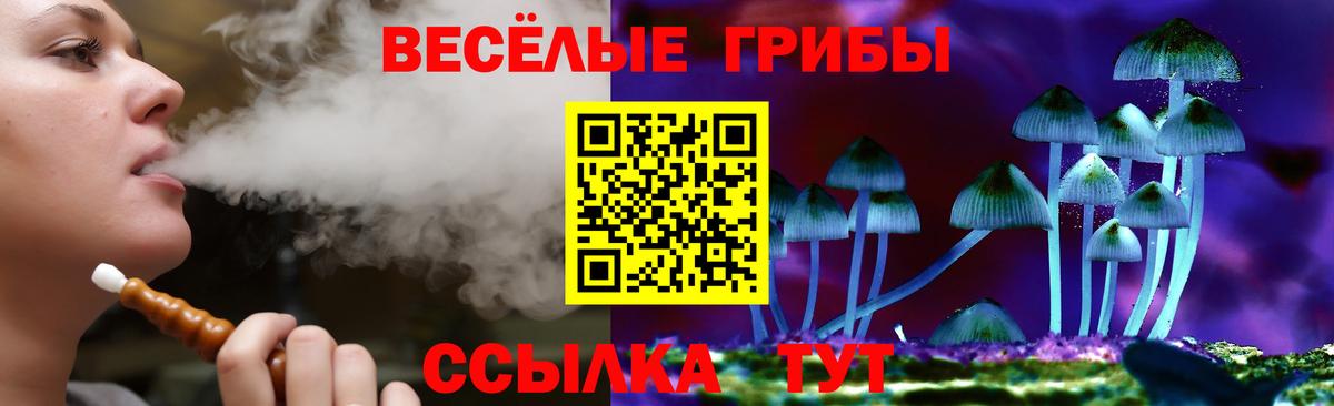 Галлюциногенные грибы мицелий Чебоксары